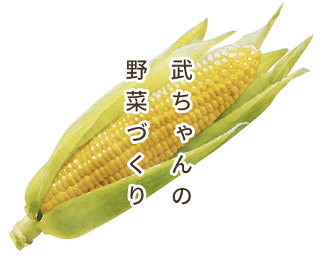 武ちゃんの野菜づくり