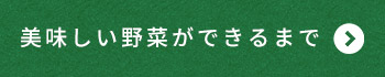 美味しい野菜ができるまで